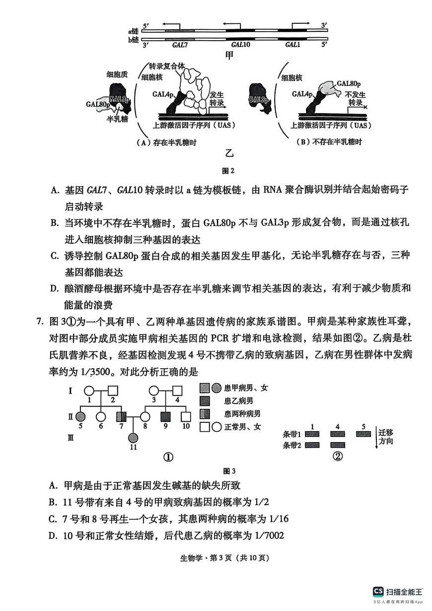 西南名校联盟2025届高三下学期“3+3+3”高考备考诊断性联考（三）生物第3页