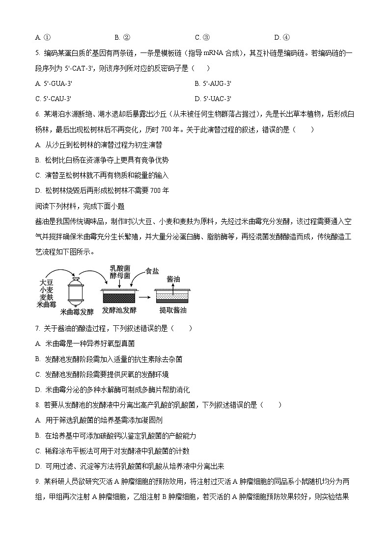 浙江省四校2024-2025学年高二下学期3月联考生物试卷  Word版无答案第2页