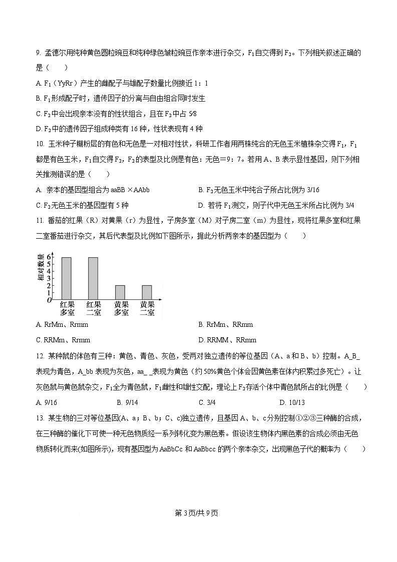 四川省成都市石室中学2024-2025学年高一下学期3月月考生物试卷（原卷版）第3页