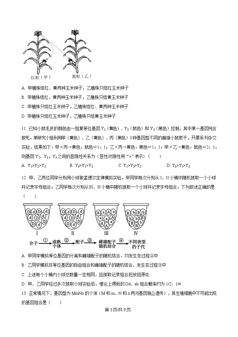 四川省内江市威远中学2024-2025学年高一下学期期中考试生物试题（原卷版）第3页