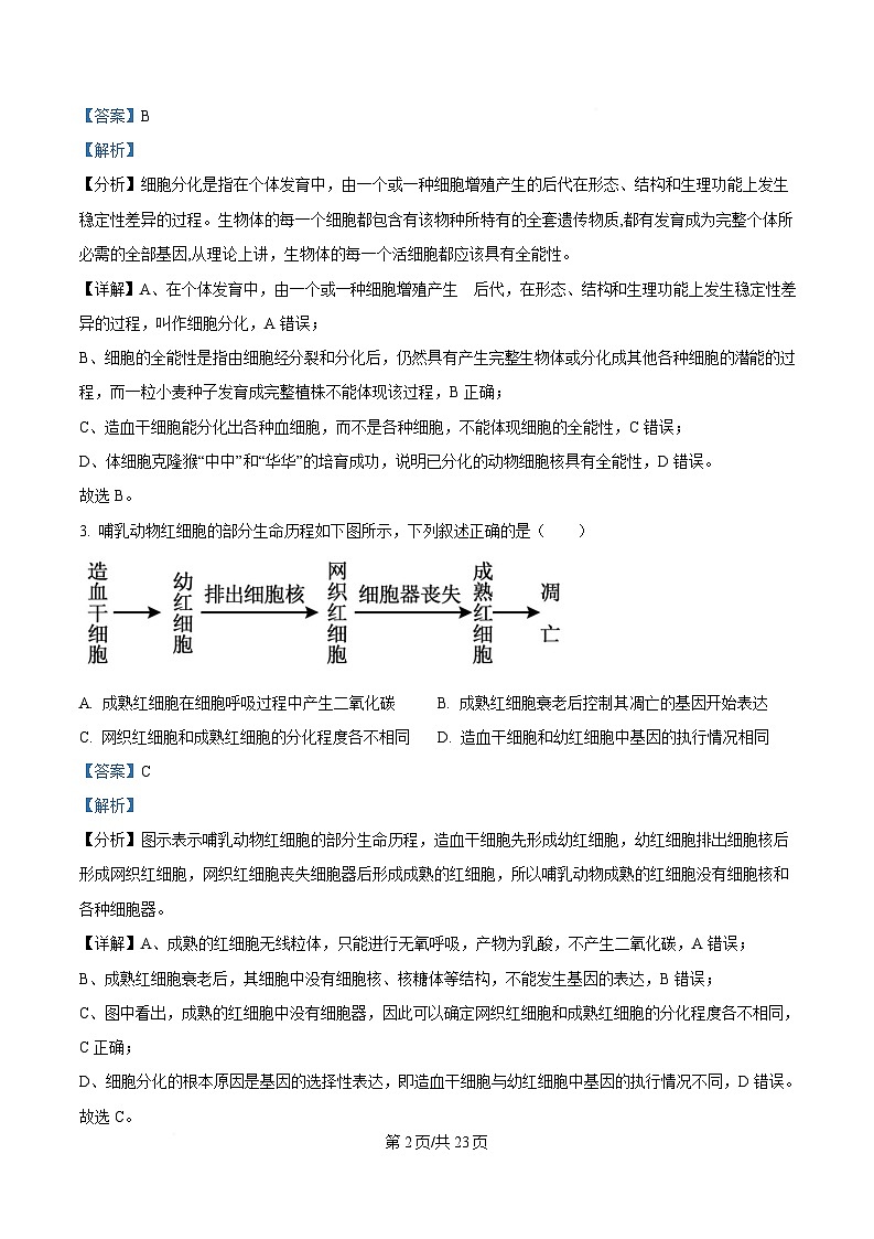 四川省内江市威远中学2024-2025学年高一下学期期中考试生物试题 Word版含解析第2页
