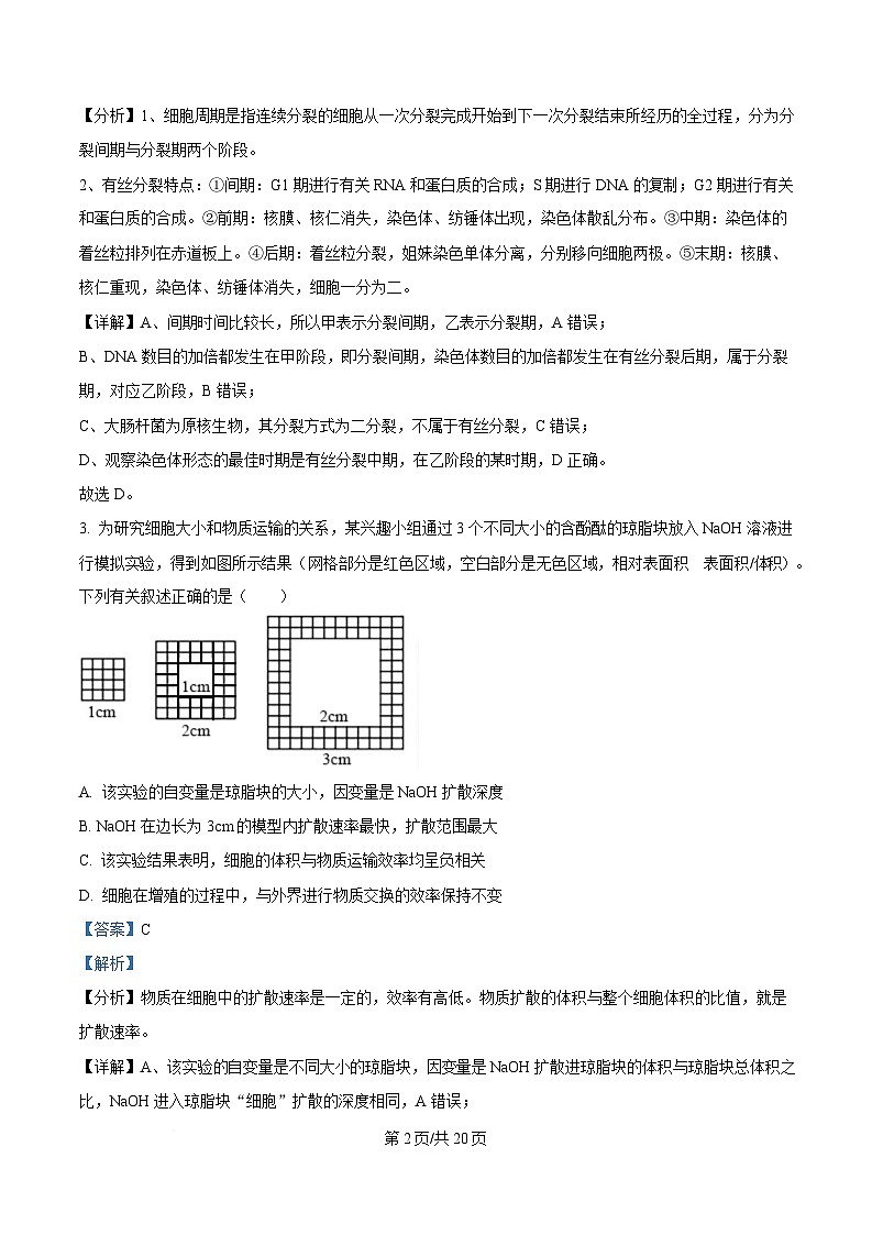 四川省遂宁市遂宁中学2024-2025学年高一下学期3月月考生物试题 Word版含解析第2页
