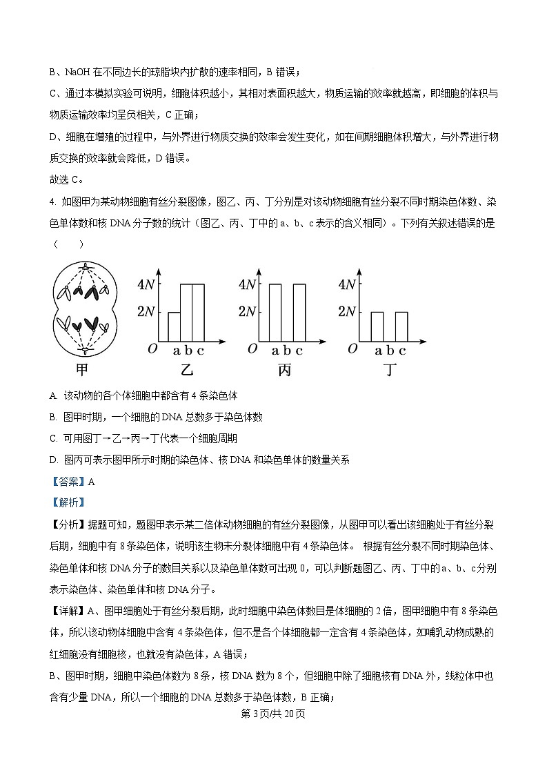 四川省遂宁市遂宁中学2024-2025学年高一下学期3月月考生物试题 Word版含解析第3页