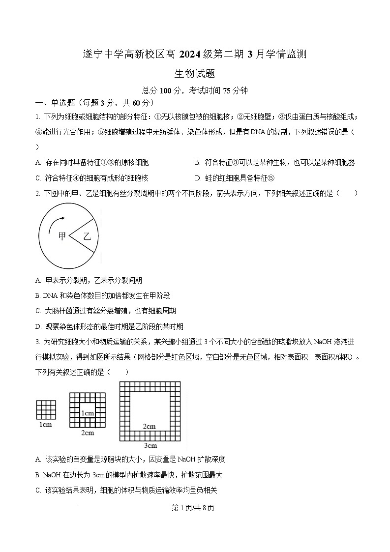 四川省遂宁市遂宁中学2024-2025学年高一下学期3月月考生物试题（原卷版）第1页