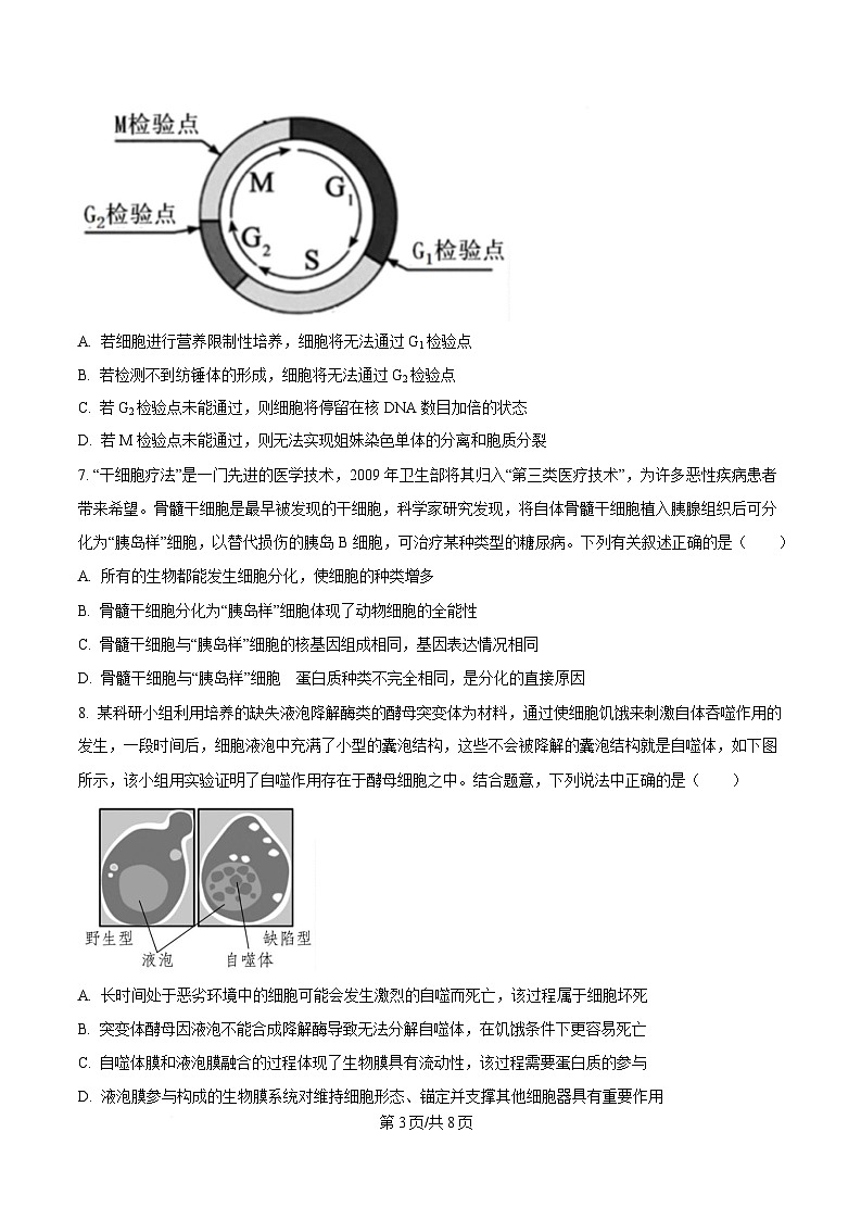 四川省遂宁市遂宁中学2024-2025学年高一下学期3月月考生物试题（原卷版）第3页