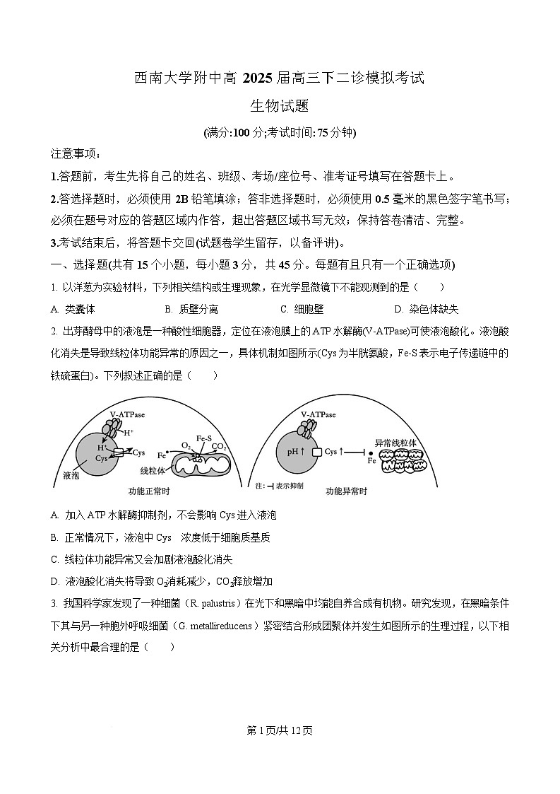 重庆市西南大学附属中学2025届高三下学期3月二诊模拟考试生物试卷（原卷版）第1页