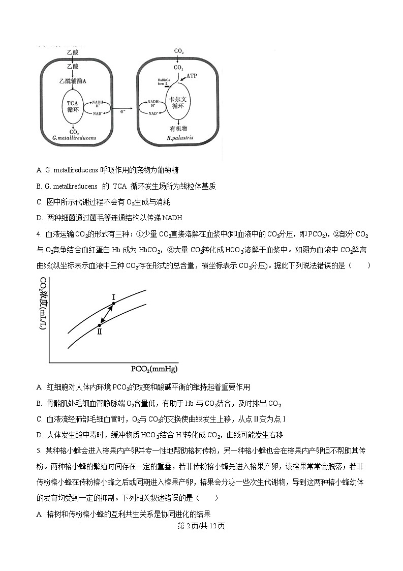 重庆市西南大学附属中学2025届高三下学期3月二诊模拟考试生物试卷（原卷版）第2页