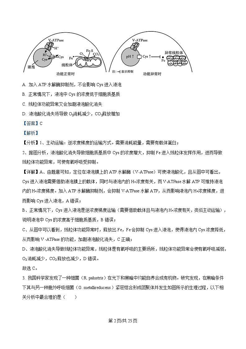 重庆市西南大学附属中学2025届高三下学期3月二诊模拟考试生物试卷 Word版含解析第2页