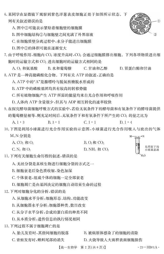 河北省2022-2023学年高一上学期期末 生物试卷（含答案）第2页