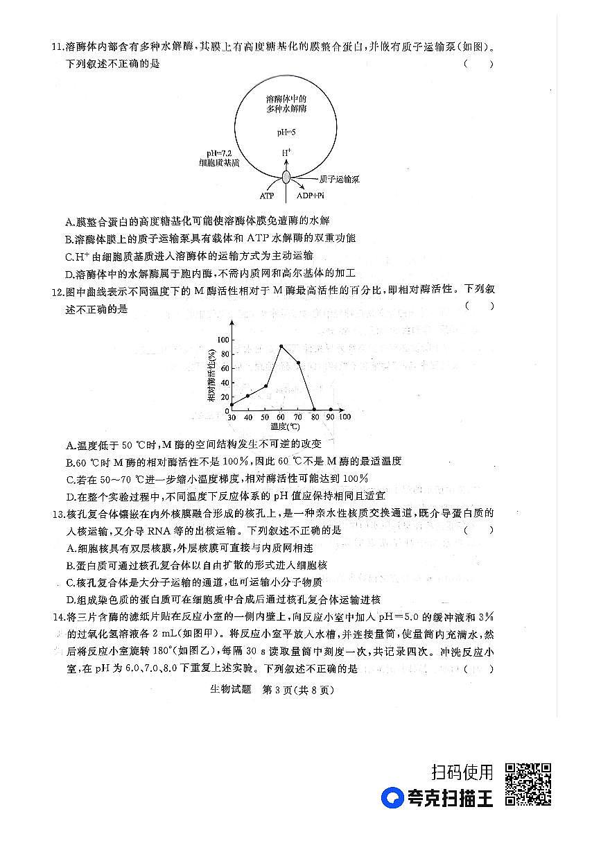 河南省洛阳市2022-2023学年高一上期末 生物试卷（含答案）第3页