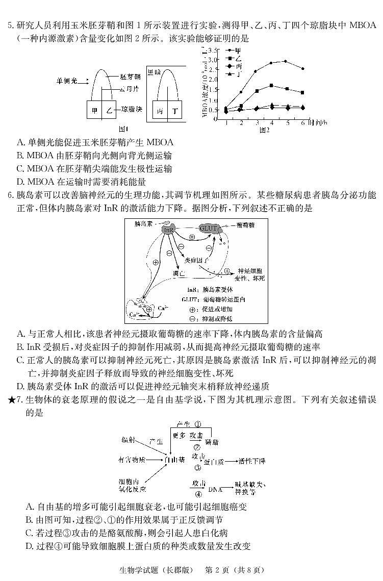 湖南省长沙市长郡中学2023-2024学年高三上学期月考五 生物试卷（含答案）第2页