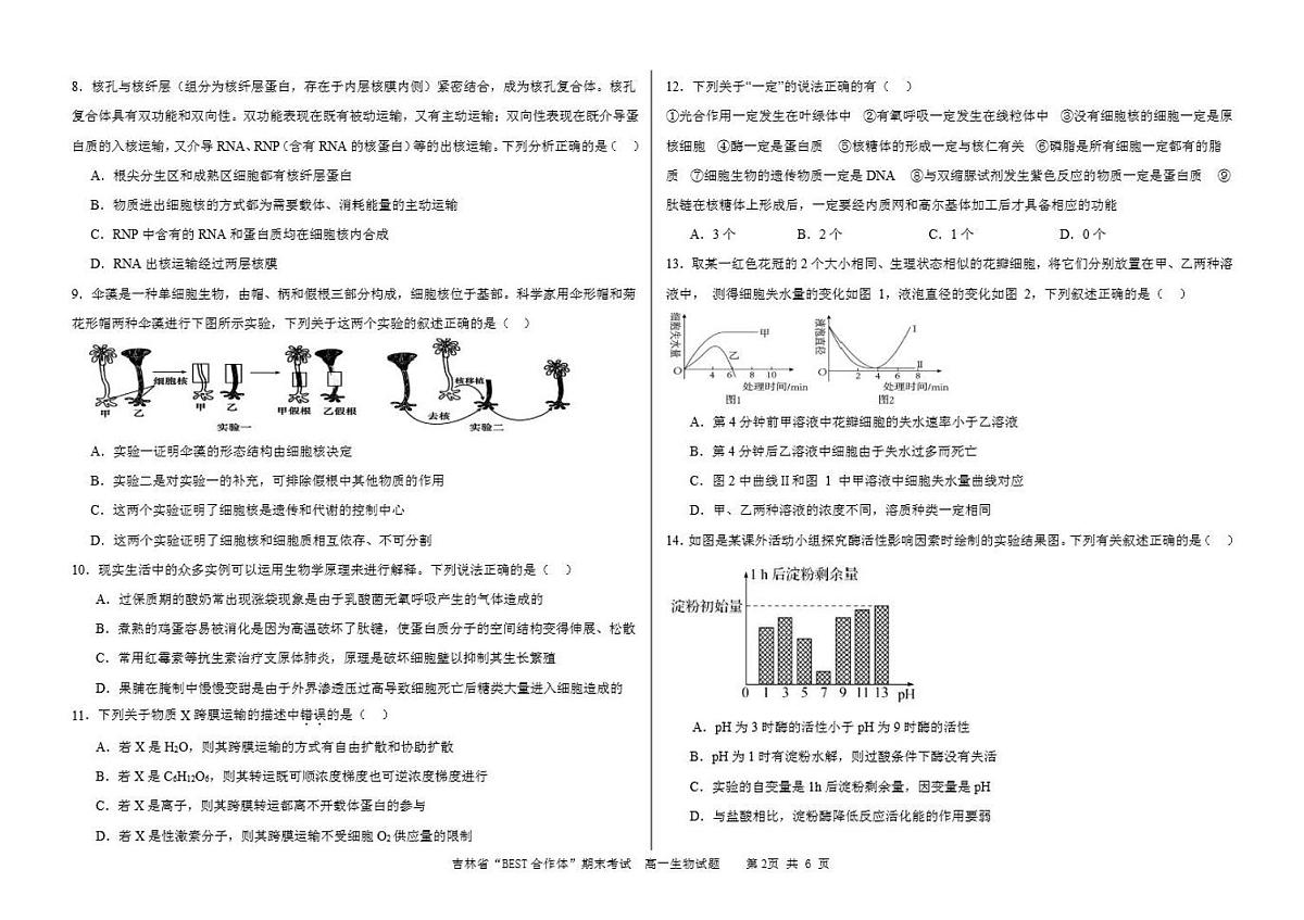 吉林省“BEST合作体”2023-2024学年高一上学期期末 生物试卷（含答案）第2页
