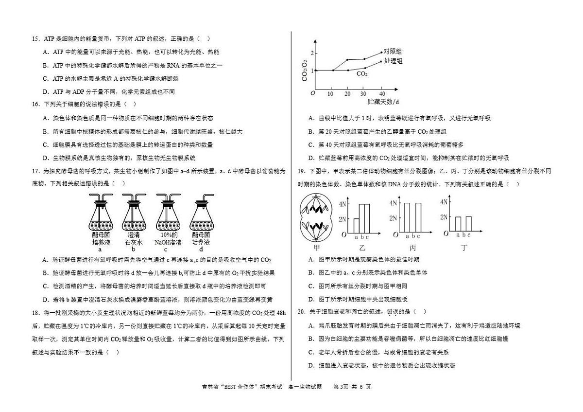 吉林省“BEST合作体”2023-2024学年高一上学期期末 生物试卷（含答案）第3页