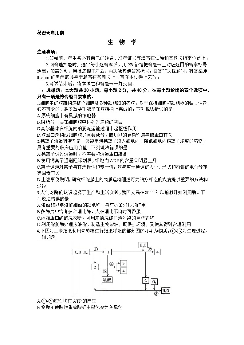 山西省部分学校2023-2024学年高三上学期终期考试 生物试卷（含答案）第1页