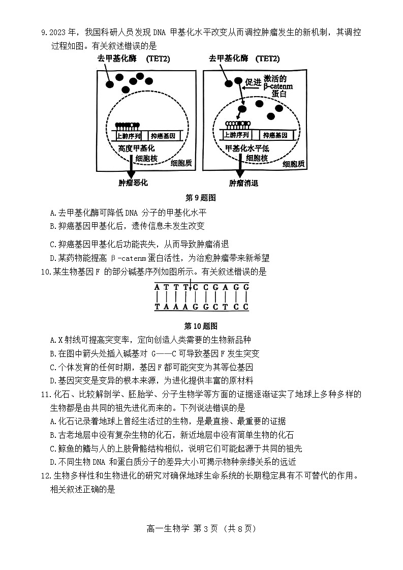 广东省东莞市2023-2024学年高一下学期7月期末生物试题第3页