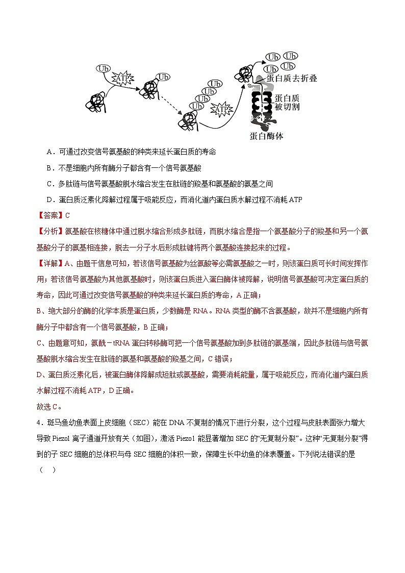 2025年高考第三次模拟考试卷：生物（天津卷）（解析版）第3页