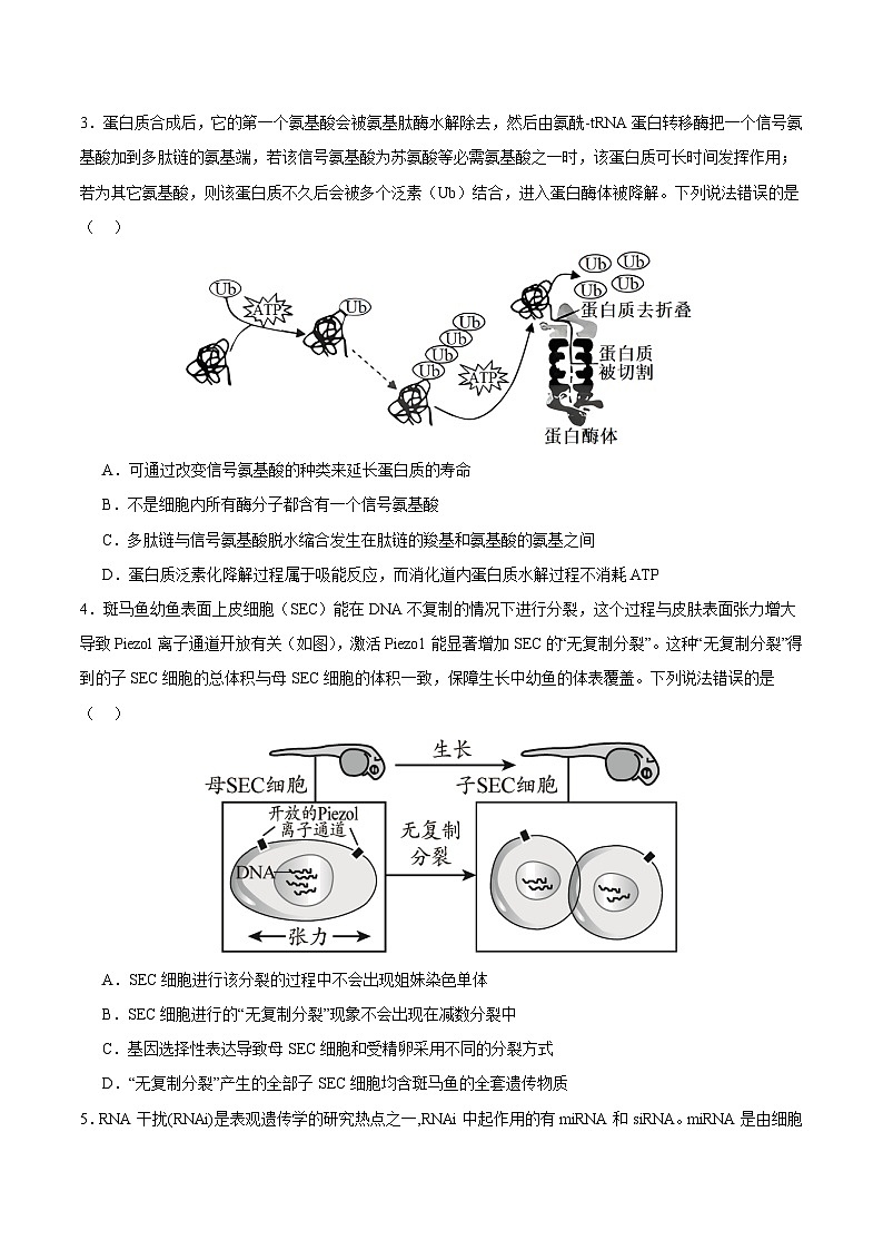 2025年高考第三次模拟考试卷：生物（天津卷）（考试版）第2页