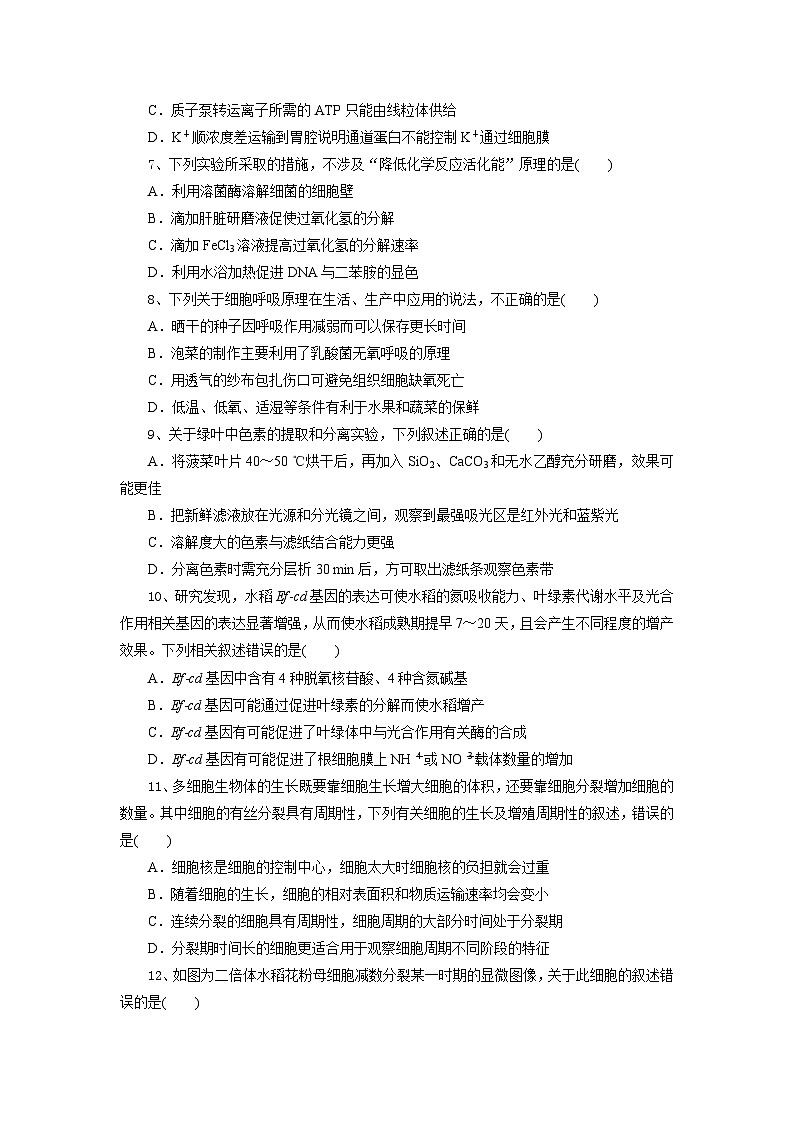 湖北省部分高中协作体2024-2025学年高一下学期4月期中生物试题第3页