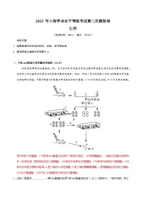 2025年高考第三次模拟考试卷:生物(上海卷)(解析版)