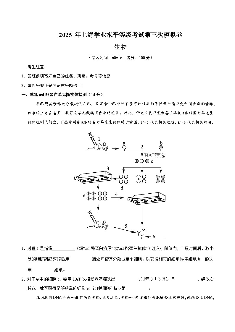 2025年高考第三次模拟考试卷：生物（上海卷）（考试版）第1页