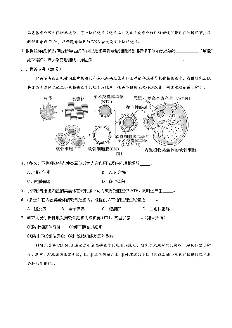 2025年高考第三次模拟考试卷：生物（上海卷）（考试版）第2页