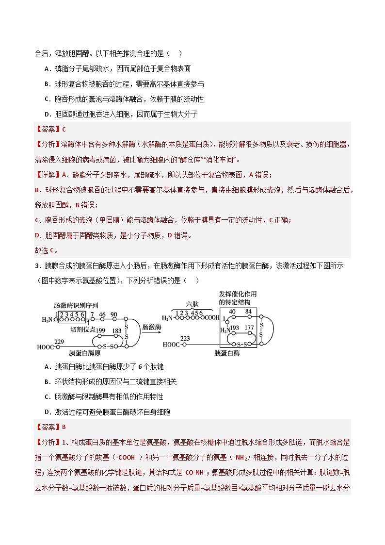 2025年高考第三次模拟考试卷：生物（河南卷）（解析版）第2页