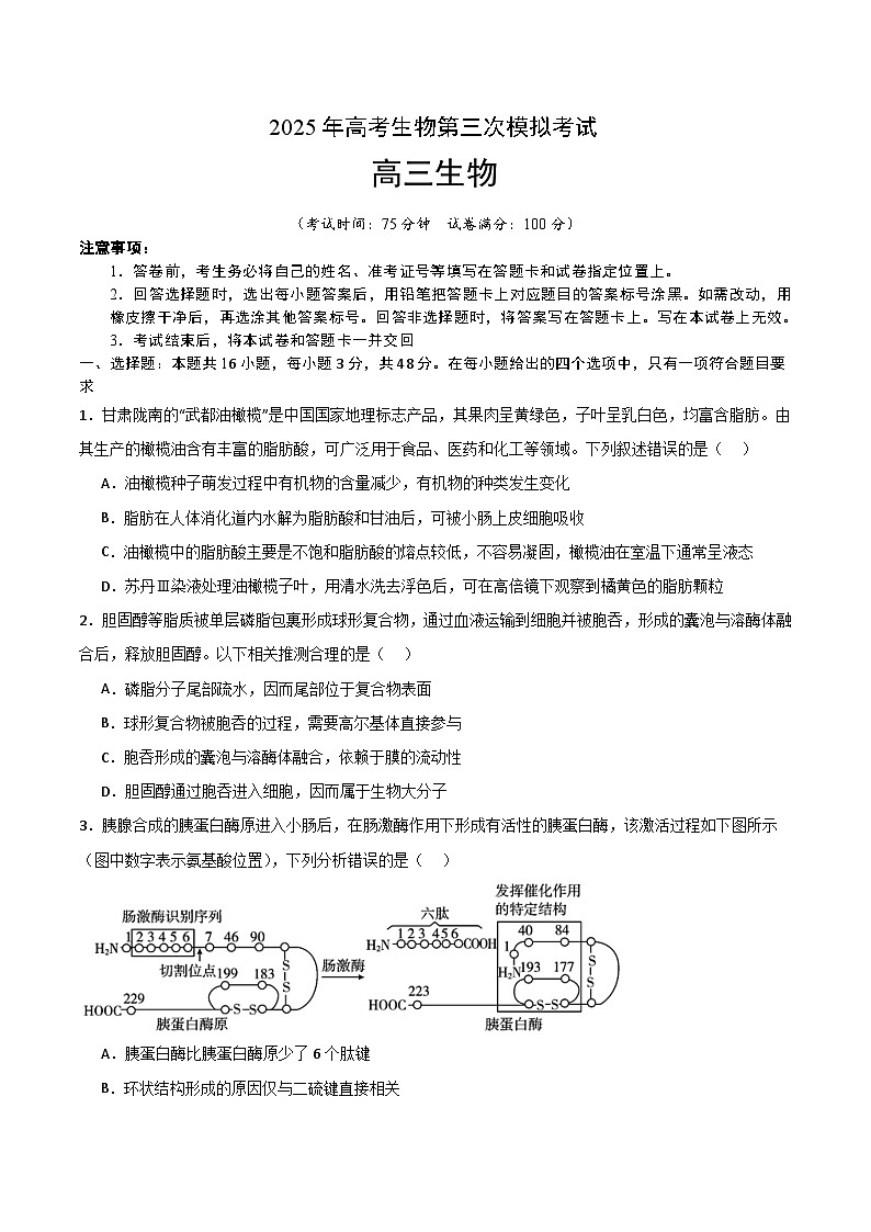 2025年高考第三次模拟考试卷：生物（河南卷）（考试版）第1页