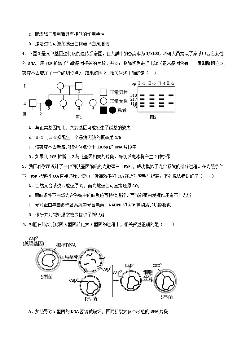 2025年高考第三次模拟考试卷：生物（河南卷）（考试版）第2页
