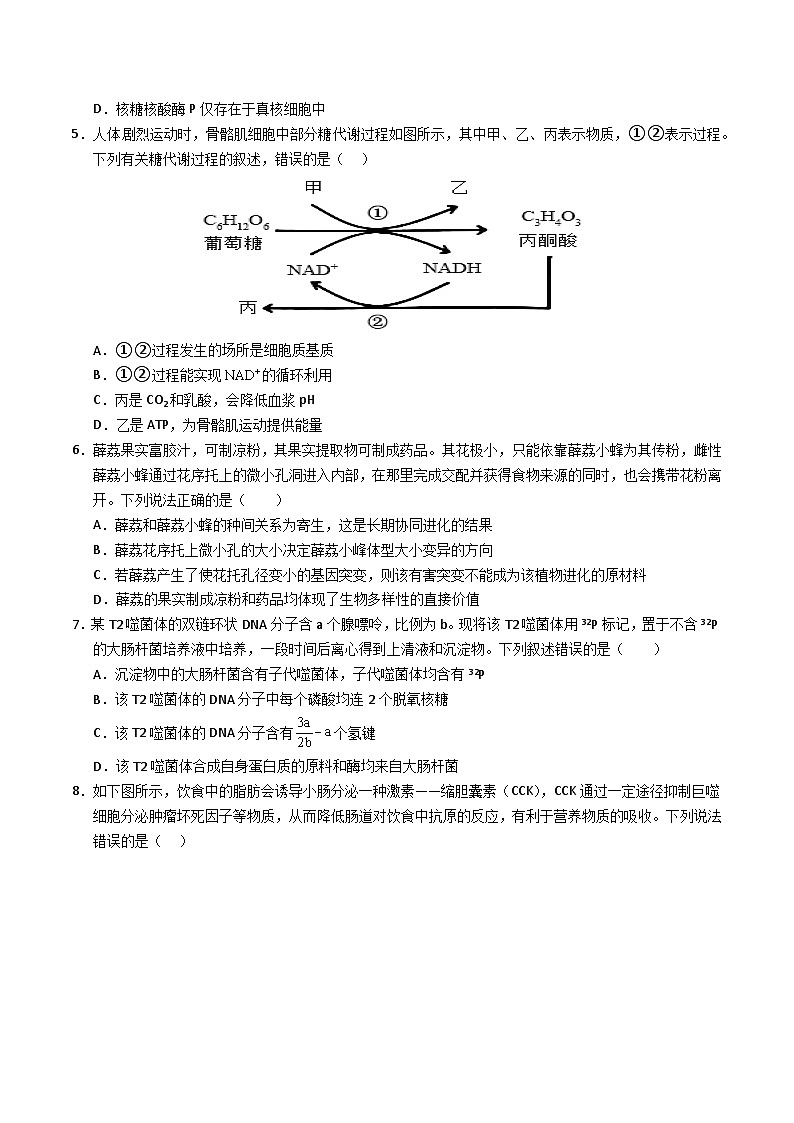 2025年高考第三次模拟考试卷：生物（四川卷）（考试版）第2页