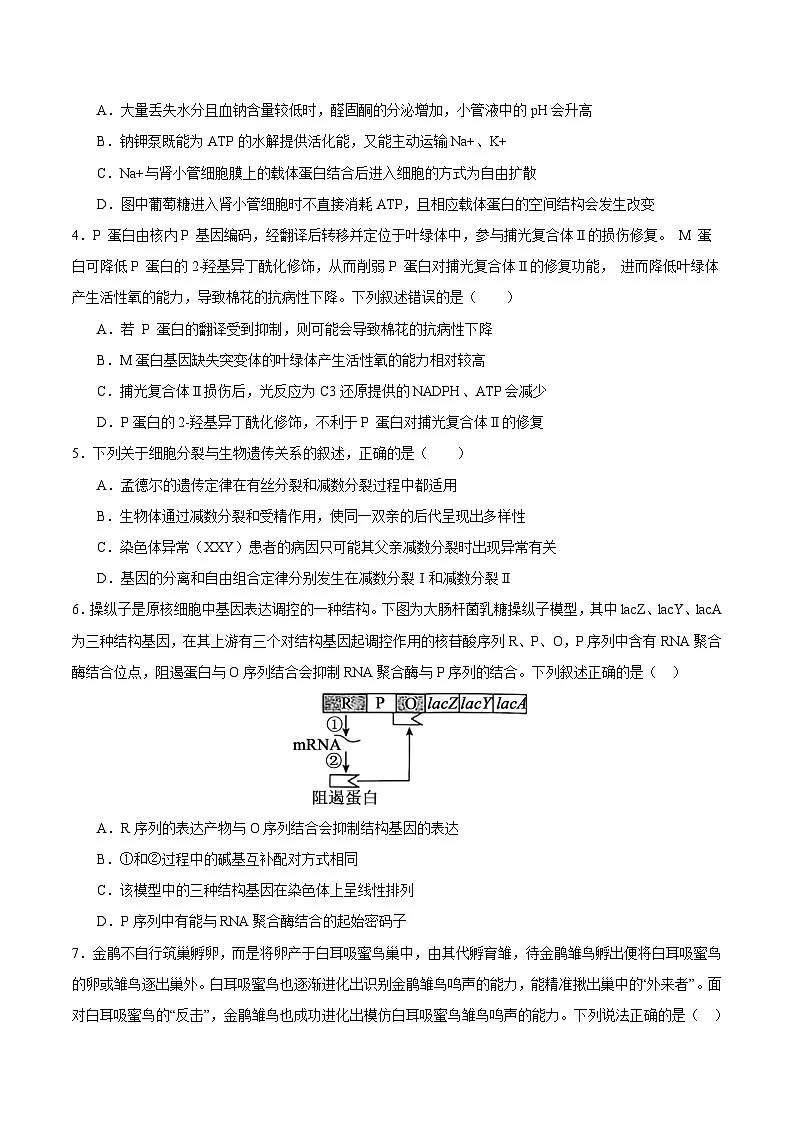2025年高考第三次模拟考试卷：生物（山西、陕西、宁夏、青海通用）（考试版）第2页