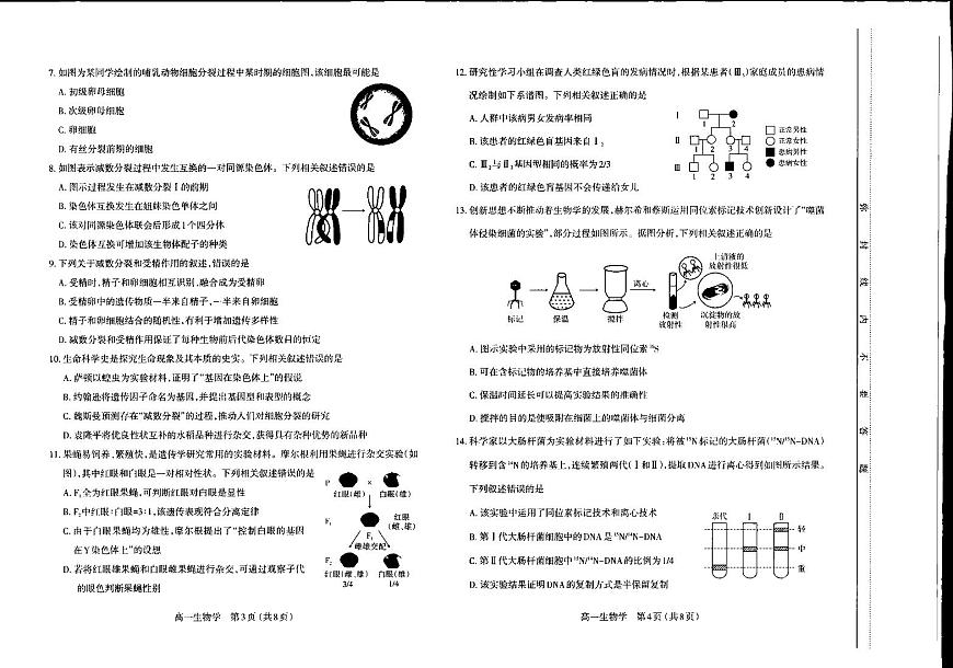 生物-山西太原2024-2025学年高一下学期期中考试试题含答案第2页
