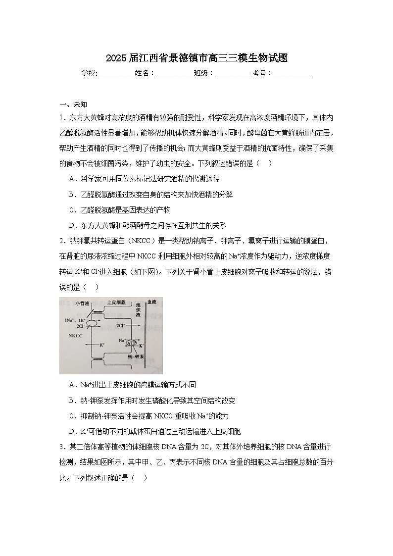 2025届江西省景德镇市高三三模生物试题（无答案）第1页