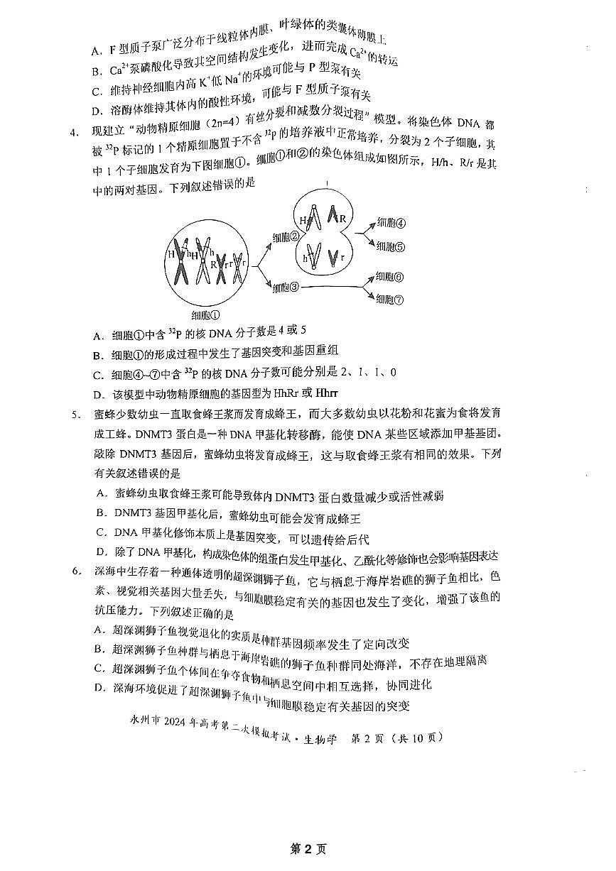 2024届湖南省永州市高三第二次模拟考试 生物试卷（含答案）第2页