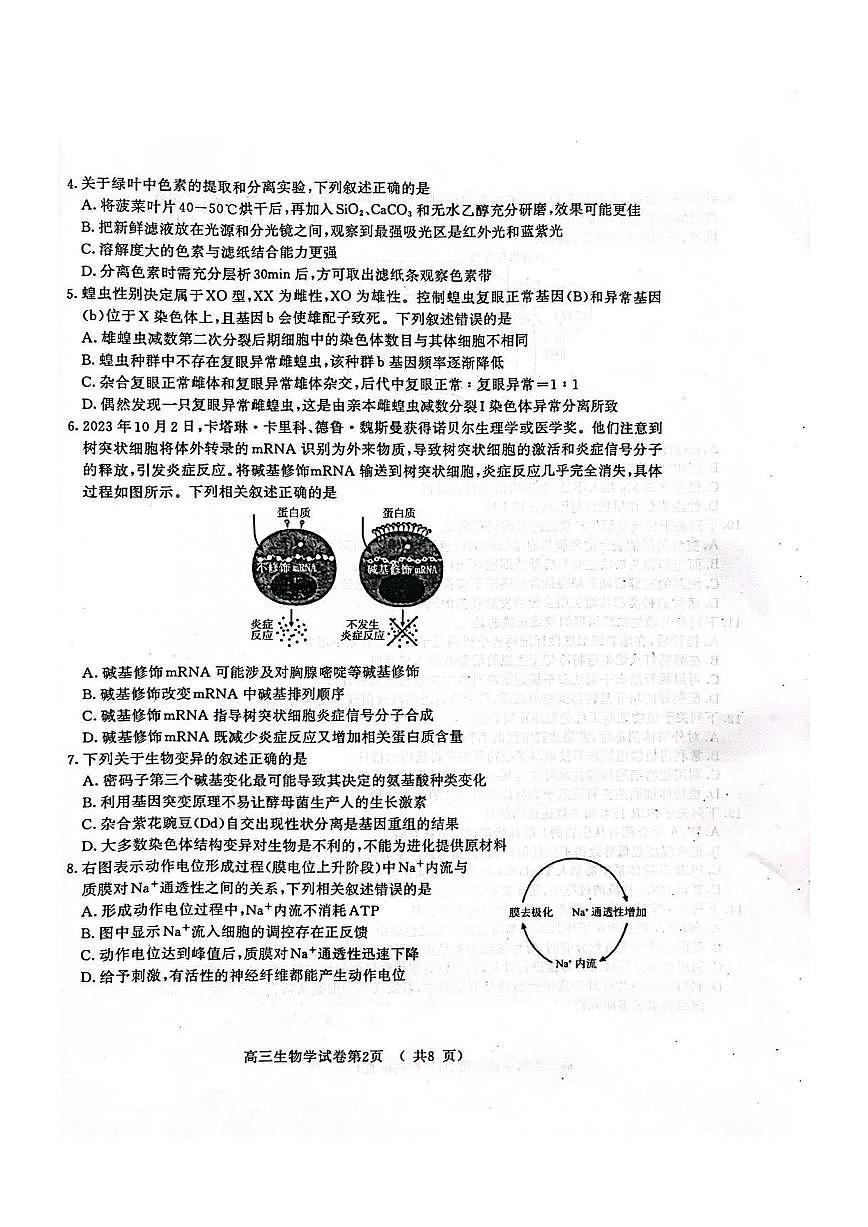 2024届江苏南京市、盐城市高三上学期第一次模拟考 生物试卷（含答案）第2页