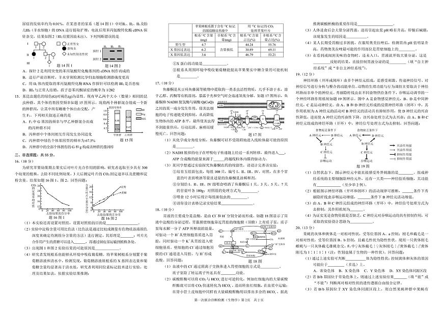 2024届重庆市普通高等学校招生高三第一次联合诊断检测 生物试卷（含答案）第2页