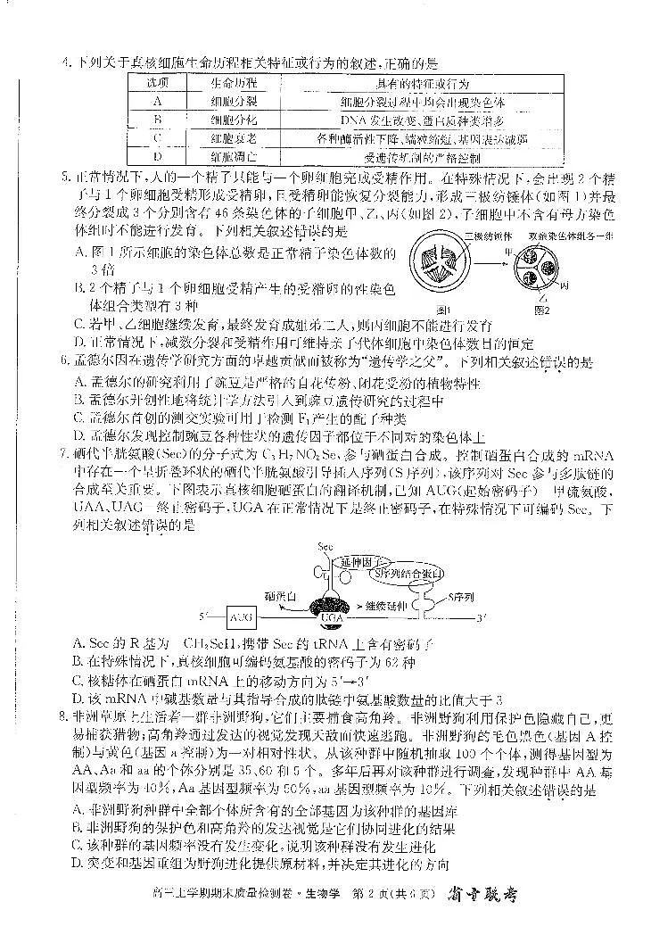 安徽省合肥市第一中学2023-2024学年高三上学期期末 生物试卷（含答案）第2页