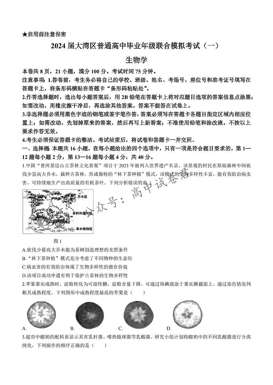 广东省大湾区2023-2024学年高三上学期联合模拟考试（一）生物试卷（含答案）第1页