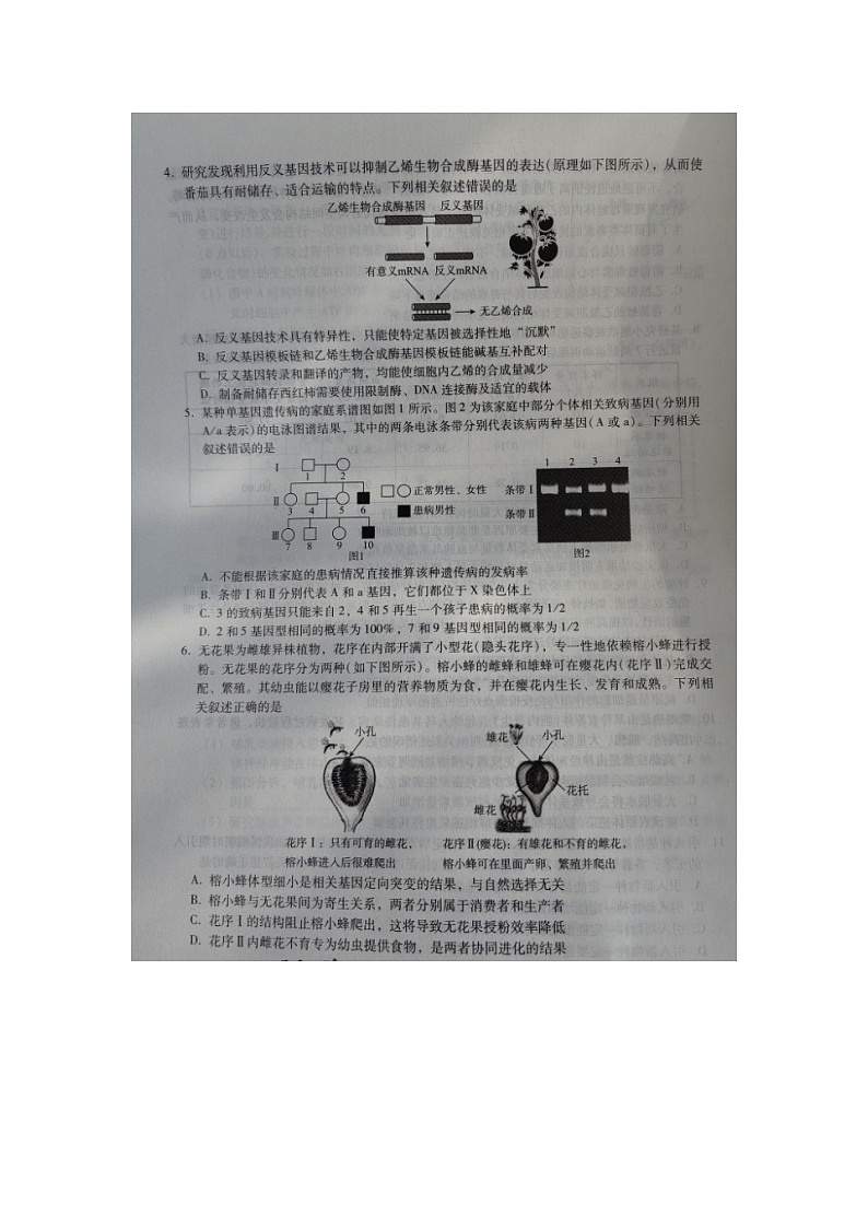 河北省2023-2024学年高三上学期1月期末质量检测考试 生物试卷（含答案）第2页