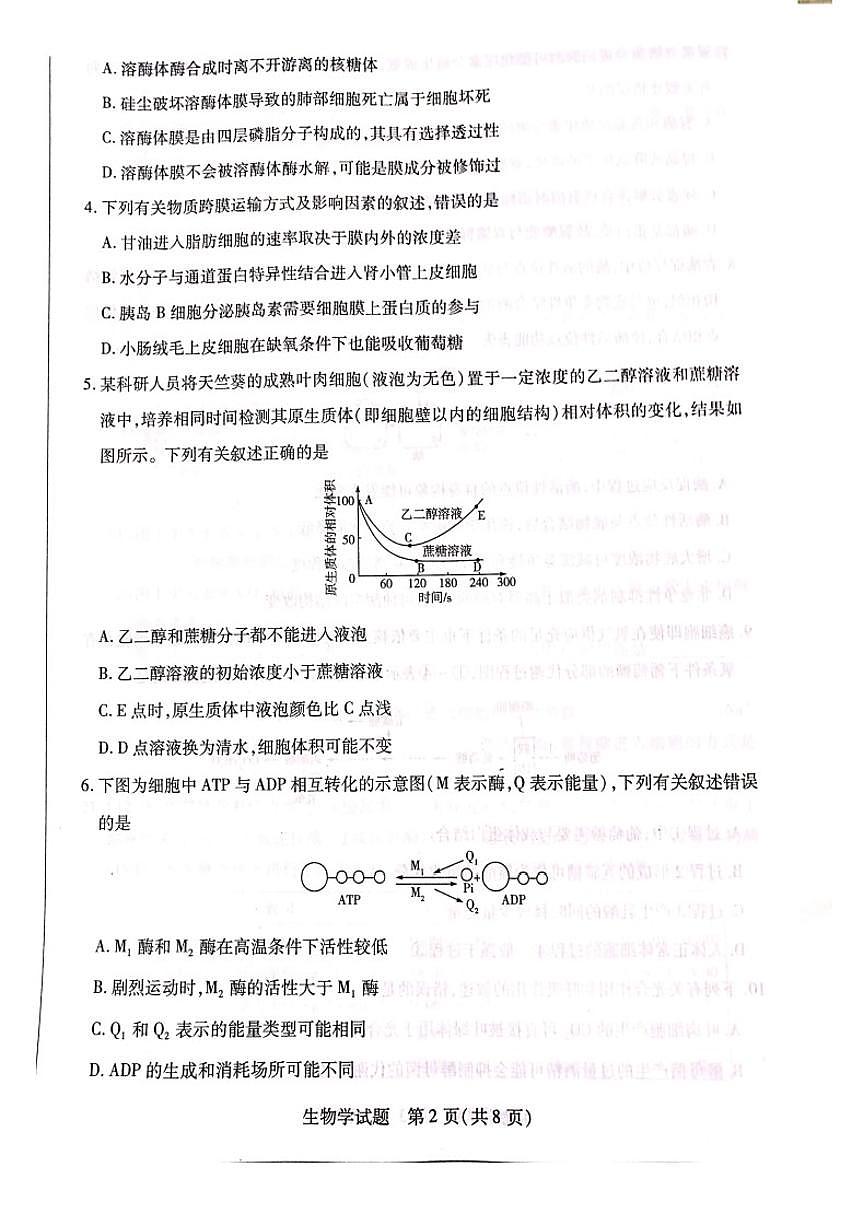 河南省南阳市六校2023-2024学年高一上学期1月期末 生物试卷（含答案）第2页
