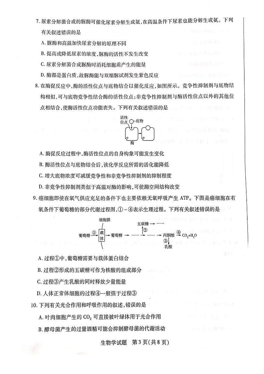 河南省南阳市六校2023-2024学年高一上学期1月期末 生物试卷（含答案）第3页