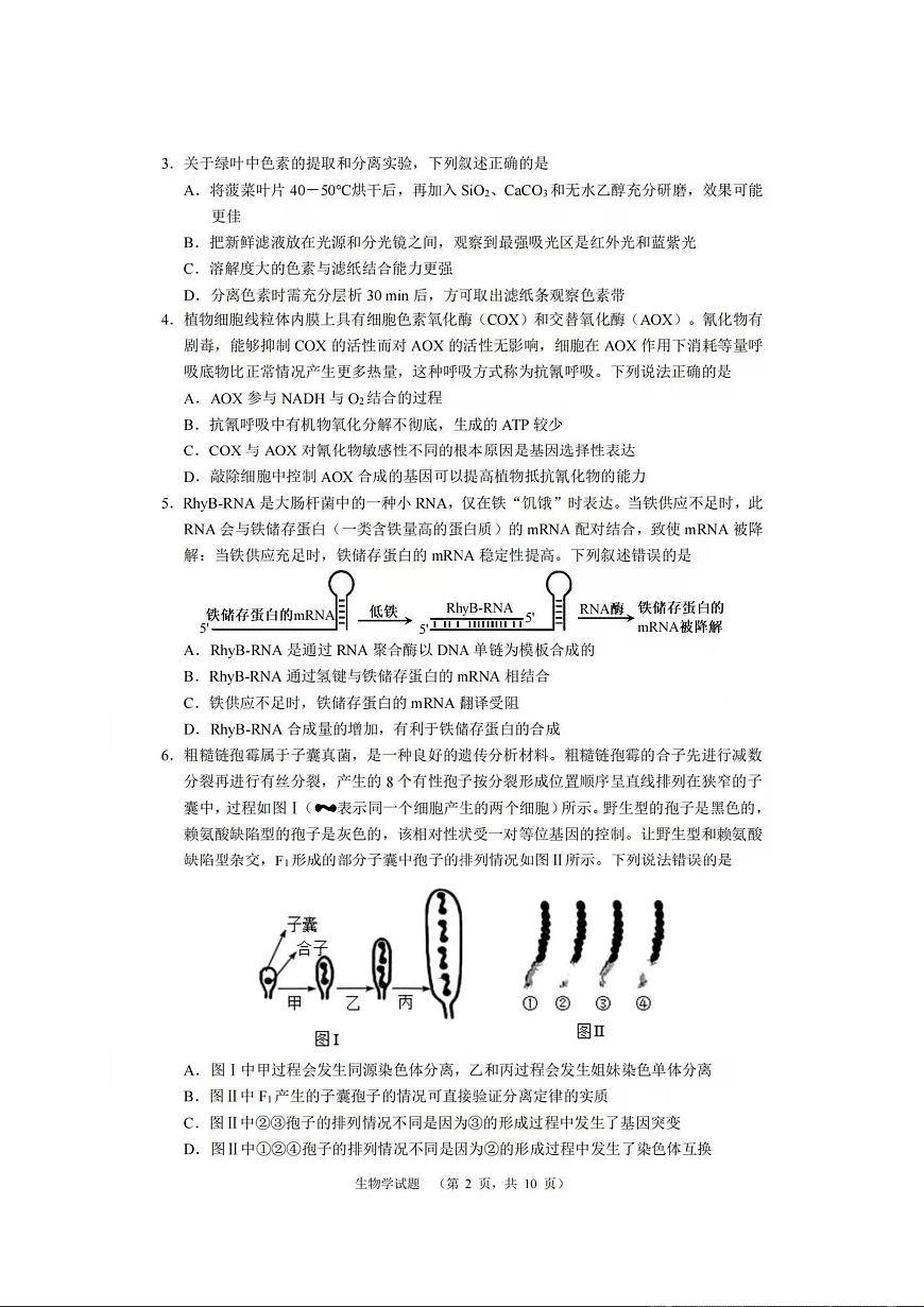 湖南省长沙市长郡中学2023-2024学年高三上学期期末适应性考 生物试卷（含答案）第2页