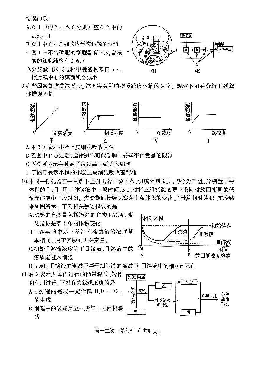 河南省驻马店市2023-2024学年高一上学期1月期末 生物试卷（含答案）第3页