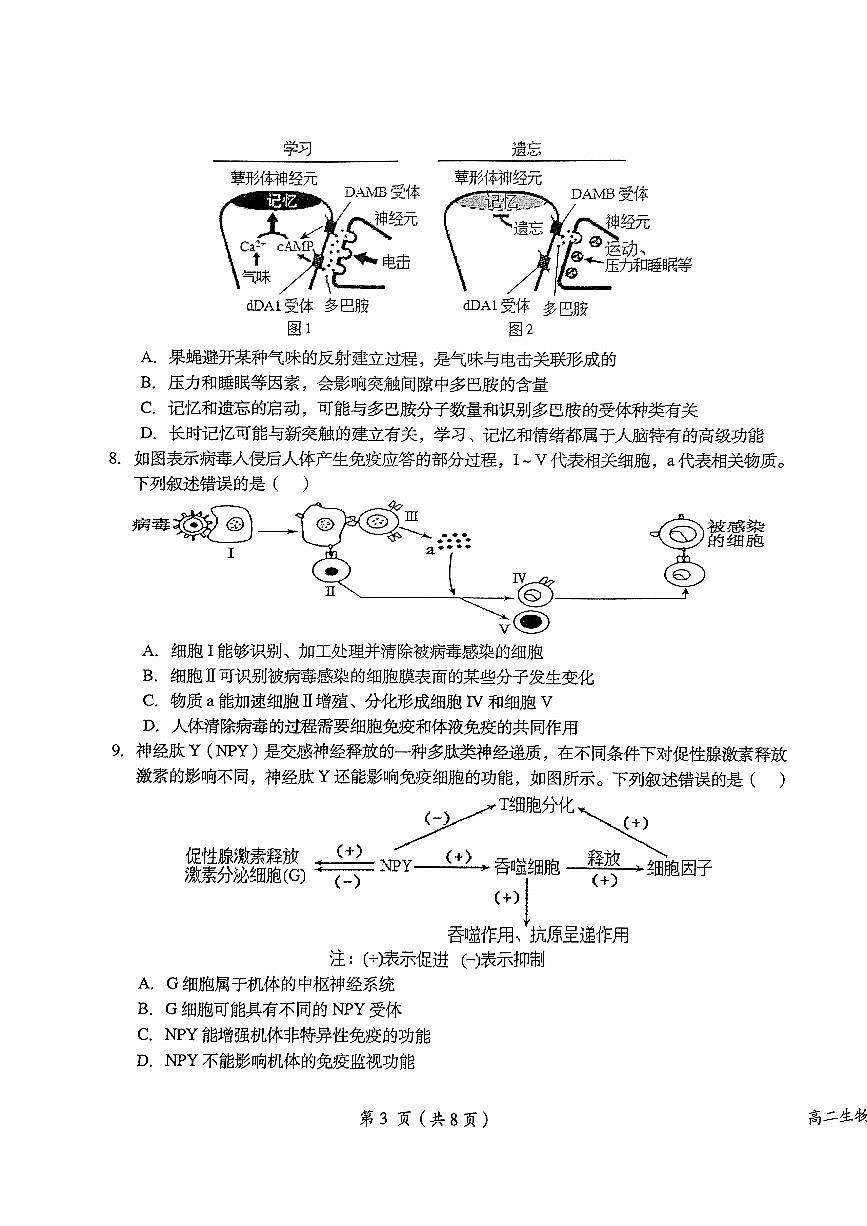 江西省鹰潭市2023-2024学年高二上学期1月期末 生物试卷（含答案）第3页