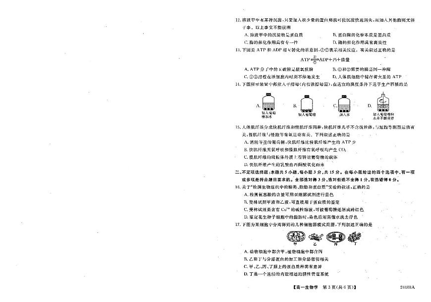 辽宁省朝阳区2023-2024学年高一上期末考 生物试卷（含答案）第2页