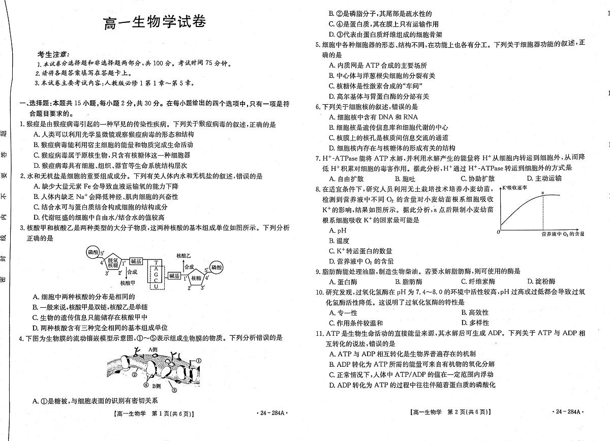 内蒙古赤峰市2023-2024学年高一上学期期末 生物试卷（含答案）第1页