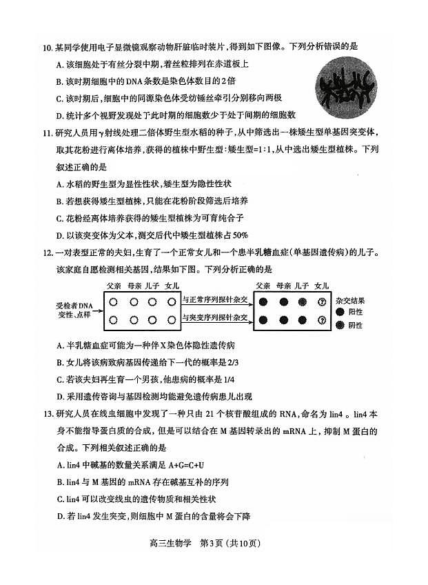 山西省太原市2023-2024学年高三上学期期末学业诊断 生物试卷（含答案）第3页