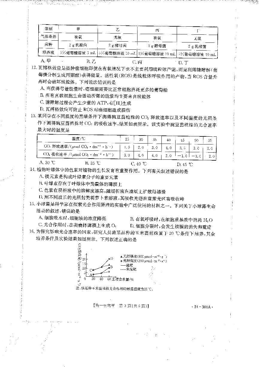 四川省雅安中学2023-2024学年高一上学期1月月考 生物试卷（含答案）第2页
