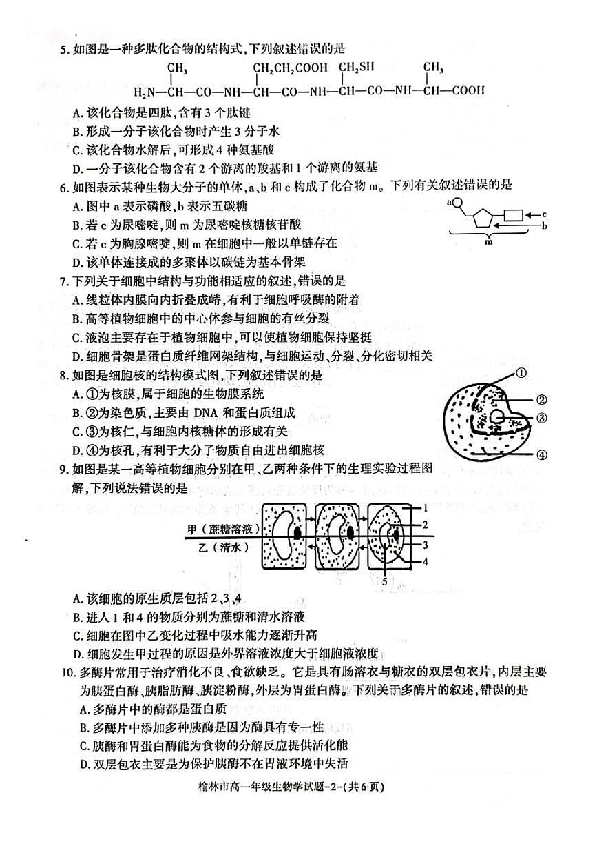 陕西省榆林市2023-2024学年高一上学期1月期末 生物试卷（含答案）第2页