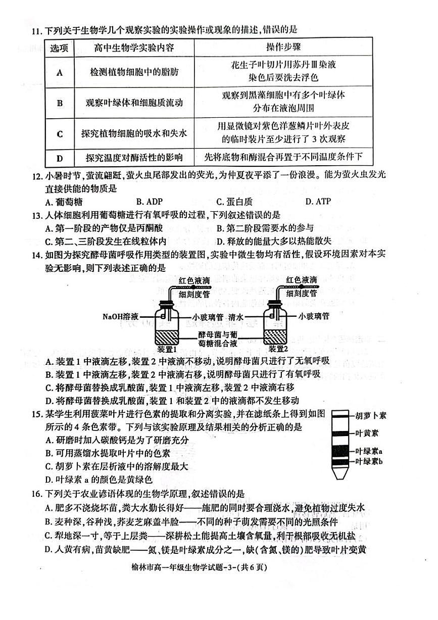 陕西省榆林市2023-2024学年高一上学期1月期末 生物试卷（含答案）第3页