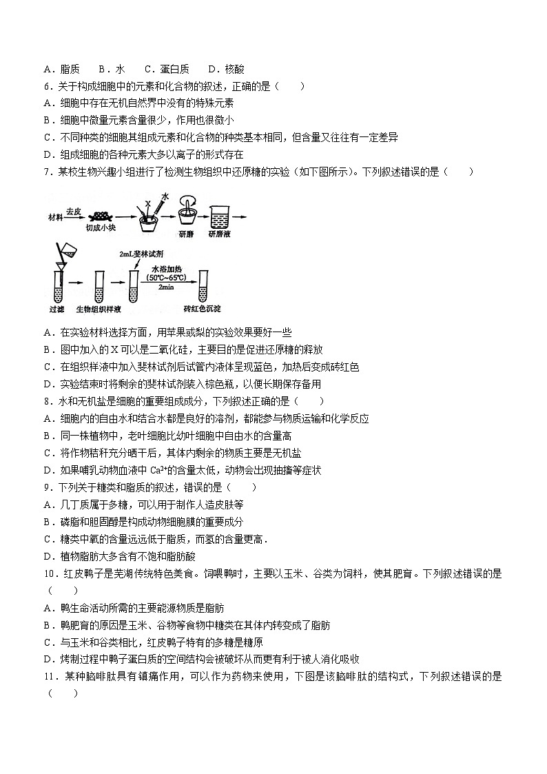 安徽省芜湖市2023-2024学年高一上学期1月期末生物试题（含答案）第2页